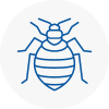 Bed Bug Extermination In Bourne End