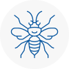 Bourne End Hornet Nest Removals