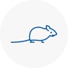Mice Exterminators In Bourne End