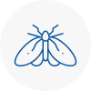 Moth Control Specialists In Bourne End