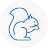 Bourne End Rodent Removals