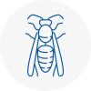 Bourne End Wasp Nest Removal